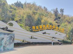 -西双版纳原始森林公园