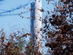 -浙江大学(紫金港校区)