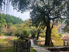 -广州雕塑公园
