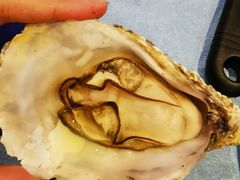 -千岛蚝高压锅生蚝·人参火锅(白云万达店)