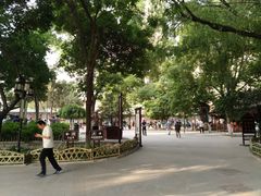 -文瀛公园