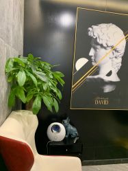-AYO SALON