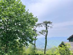 -莫干山风景区