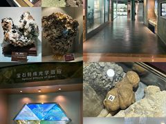 -甘肃地质博物馆