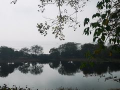 -上海市保健医疗中心