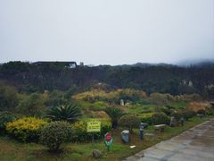 -妈妈菜舟山海鲜(定海古城店)