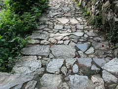 -杨家堂村