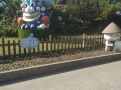 -上海都市菜园