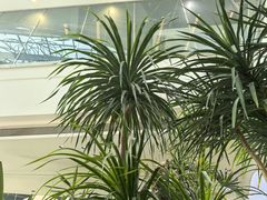 -枕水江南(铁西万象汇店)