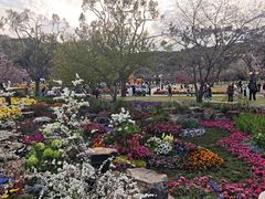 -苏州上方山国家森林公园