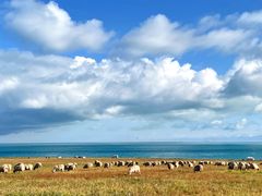 -青海湖国家重点风景名胜区