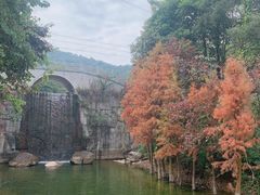 -广州市帽峰山景区