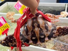 -华源餐厅·海鲜大排档(日月贝店)