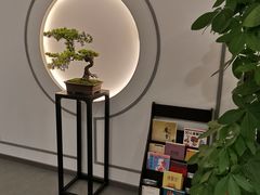 -席仁堂推拿按摩脊柱调理(世纪科贸大厦店)