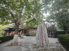 -大槐树寻根祭祖园