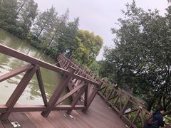 -海珠湖公园