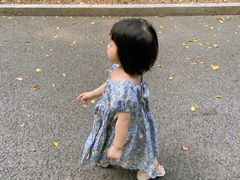 -三水森林公园