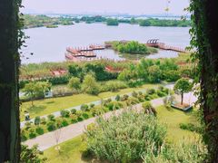-芒洲湿地公园