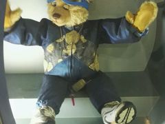 -济州岛泰迪熊博物馆