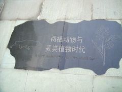 -暨阳湖生态园