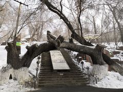-水磨沟公园