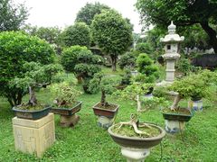 -资政大夫祠