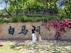 -白马涧龙池景区