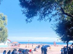 -青岛第二海水浴场