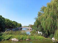 -溱湖国家湿地公园