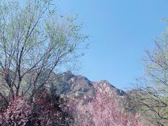 -北京凤凰岭