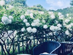 -云峰山自然风景区