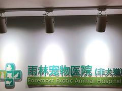 -雨林宠物医院 非犬猫异宠专科