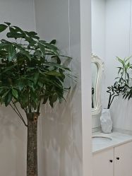 -郑荃丽格医疗美容