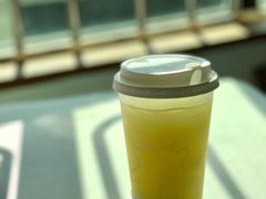 山泉油柑（绿屁屁）-茶力的小怪兽(梅林卓悦汇店)
