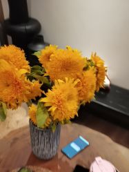 -花隐瑜伽·普拉提·红绳