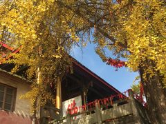 -金堂县云顶石城风景区