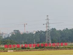 -正宗鸡饭粤香酒家(朱村店)