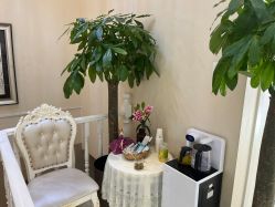 -紫洁俪方（北京）医疗美容