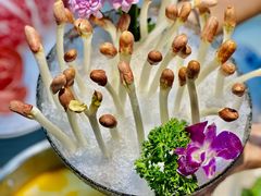 -喜聚薈·花膠雞海鮮火鍋(越秀店)