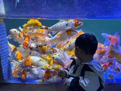 -左海海底世界