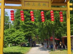 -渌洋湖湿地公园