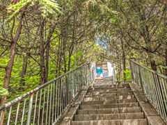 -白水寺森林公园