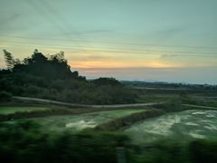 -瑶湖郊野森林公园