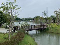 -王借岗森林公园