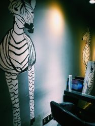 -茶发Salon·烫发染发理发