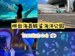 -烟台海昌鲸鲨海洋公园