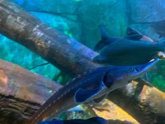 -沈阳海洋探索中心