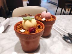 -哈根达斯(深圳海岸城店)