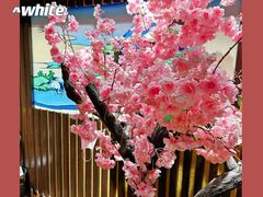 -学习谷日语培训日本留学·多语种外语教学(海淀人大分部)