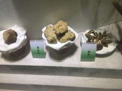 -广东中医药博物馆